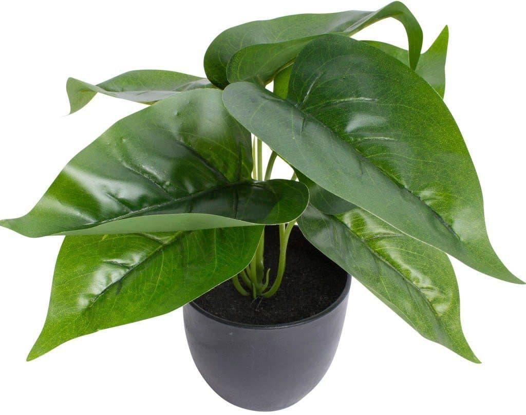 BOTANIC-HAUS Künstliche Zimmerpflanze Philodendron Grün mit Übertopf - Bild 2