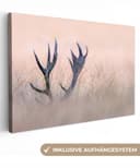 OneMillionCanvasses® Leinwandbild Geweih Hirsch Gras Natur 30x20 cm Bild 2