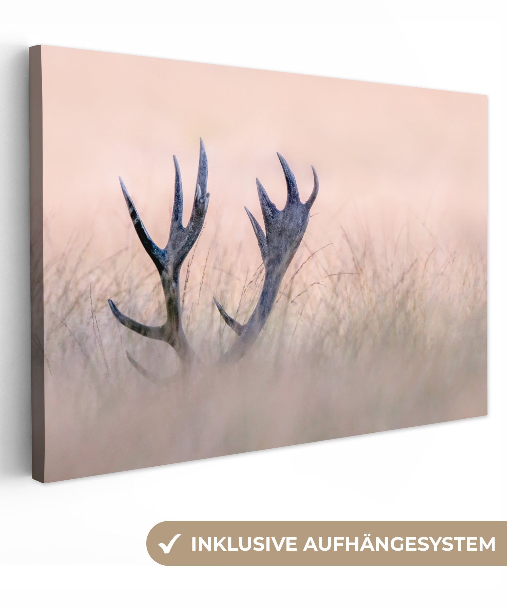 OneMillionCanvasses® Leinwandbild Geweih Hirsch Gras Natur 30x20 cm - Bild 2