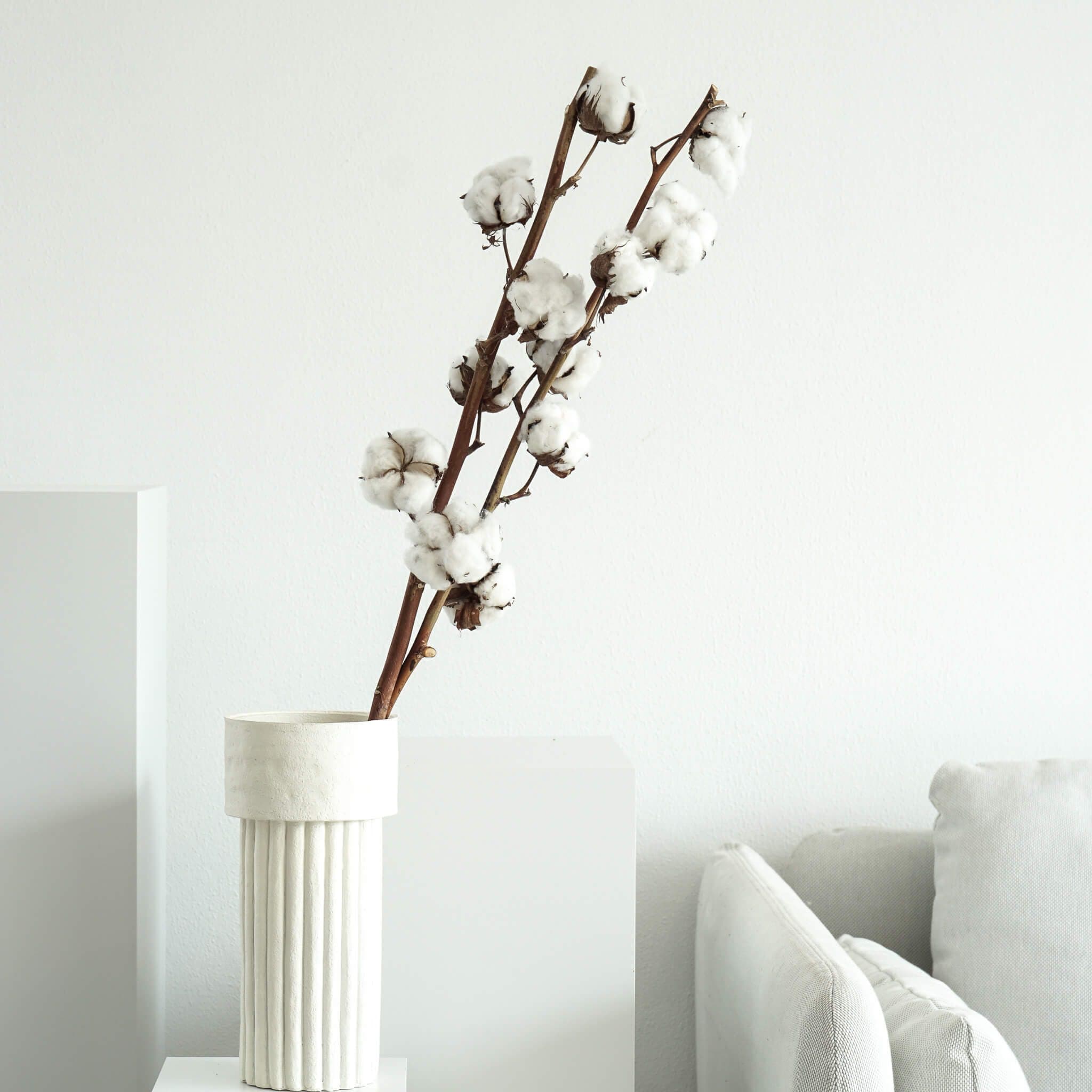 LYKKE & You Getrocknete Baumwolle 60cm Weiß