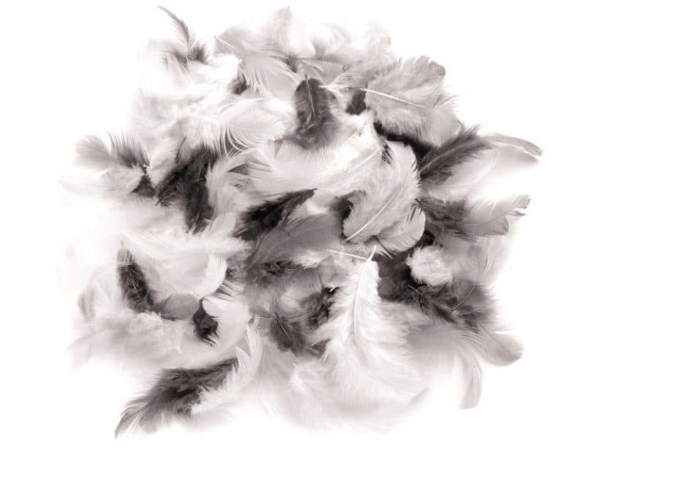 Glorex Deco-Federn Weiß-Schwarz-Grau ca. 30 Stück