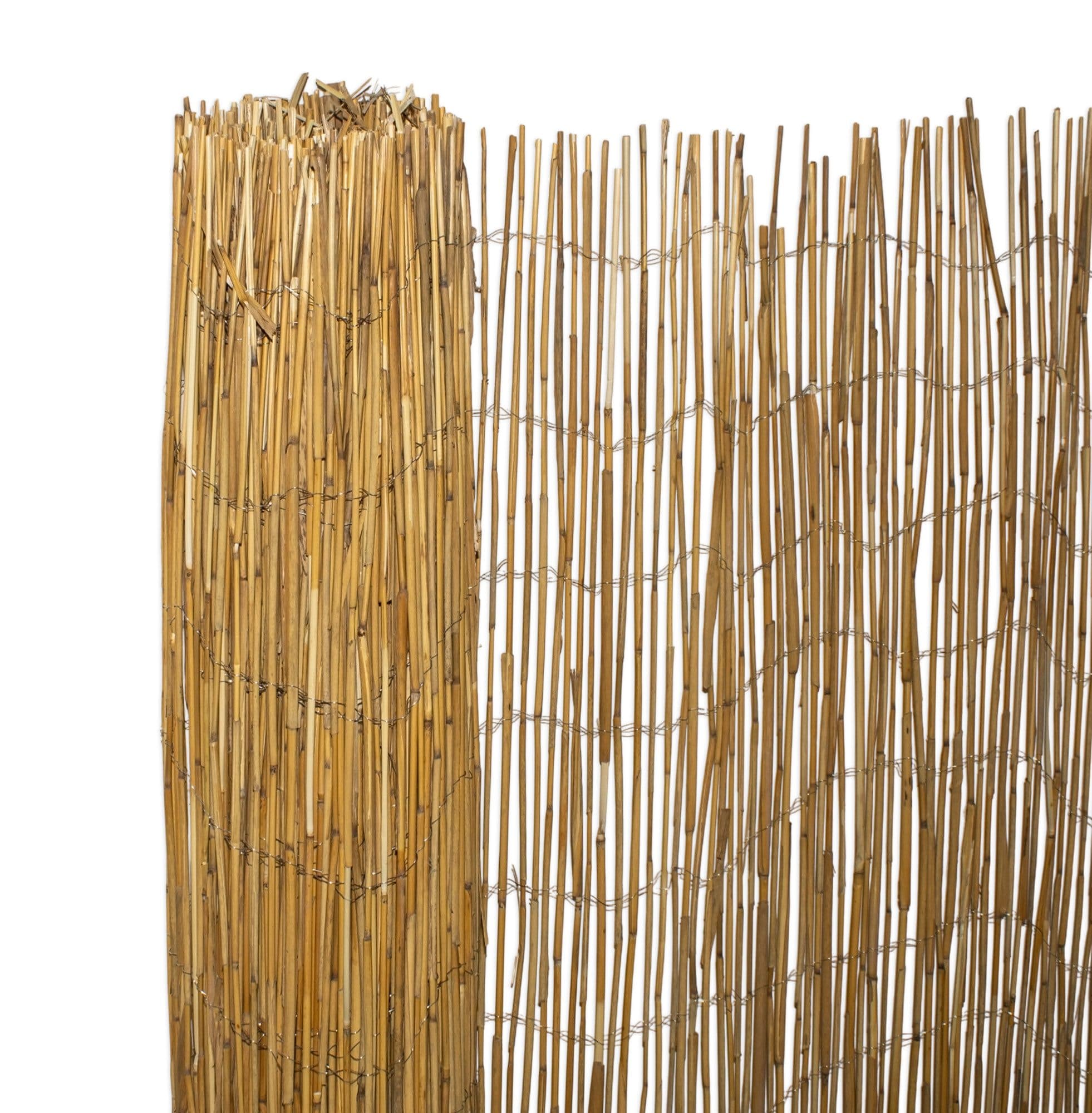 Spetebo Balkonsichtschutz Schilf Matte Natur 500x100cm - Bild 2