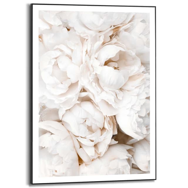 Reinders! Bild mit Rahmen White Roses Holz