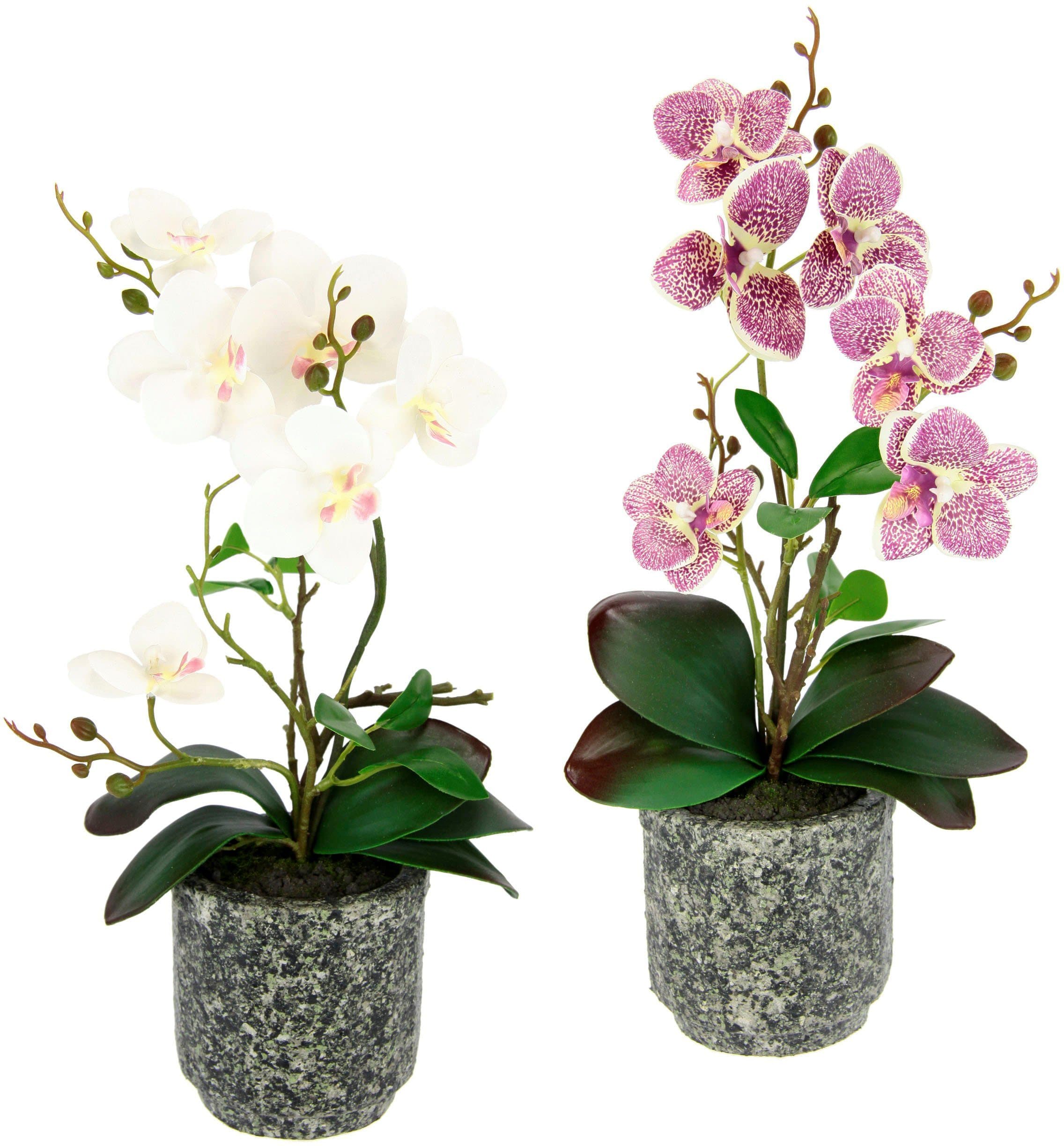 I.GE.A. Kunstorchidee Phalaenopsis 2er Set Beige/Rosa/Orange Keramiktopf