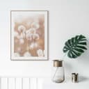REINDERS Bild mit Rahmen Cotton Pops Beige Bild 2