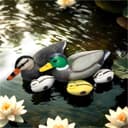 Gravidus Schwimmenten-Set 5-teilig Bunt Kunststoff Teichdeko Bild 2