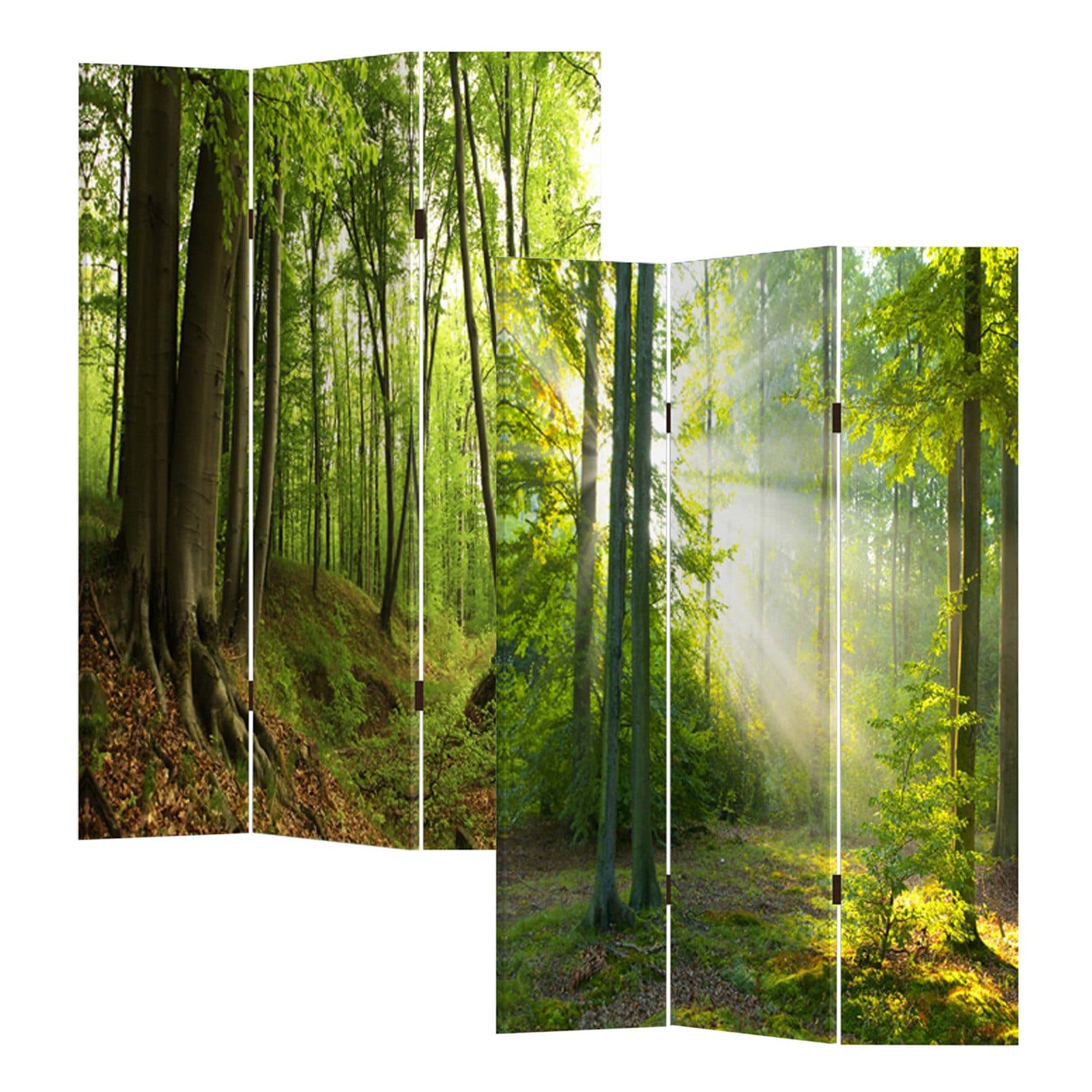 HTI-Line Paravent Waldweg Raumteiler Sichtschutz 120x170 cm