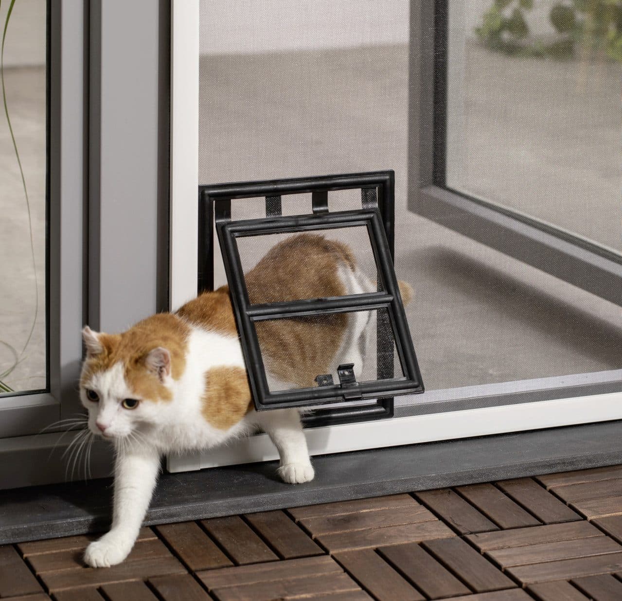 Primaster Katzenklappe für Fliegenschutzfenster anthrazit