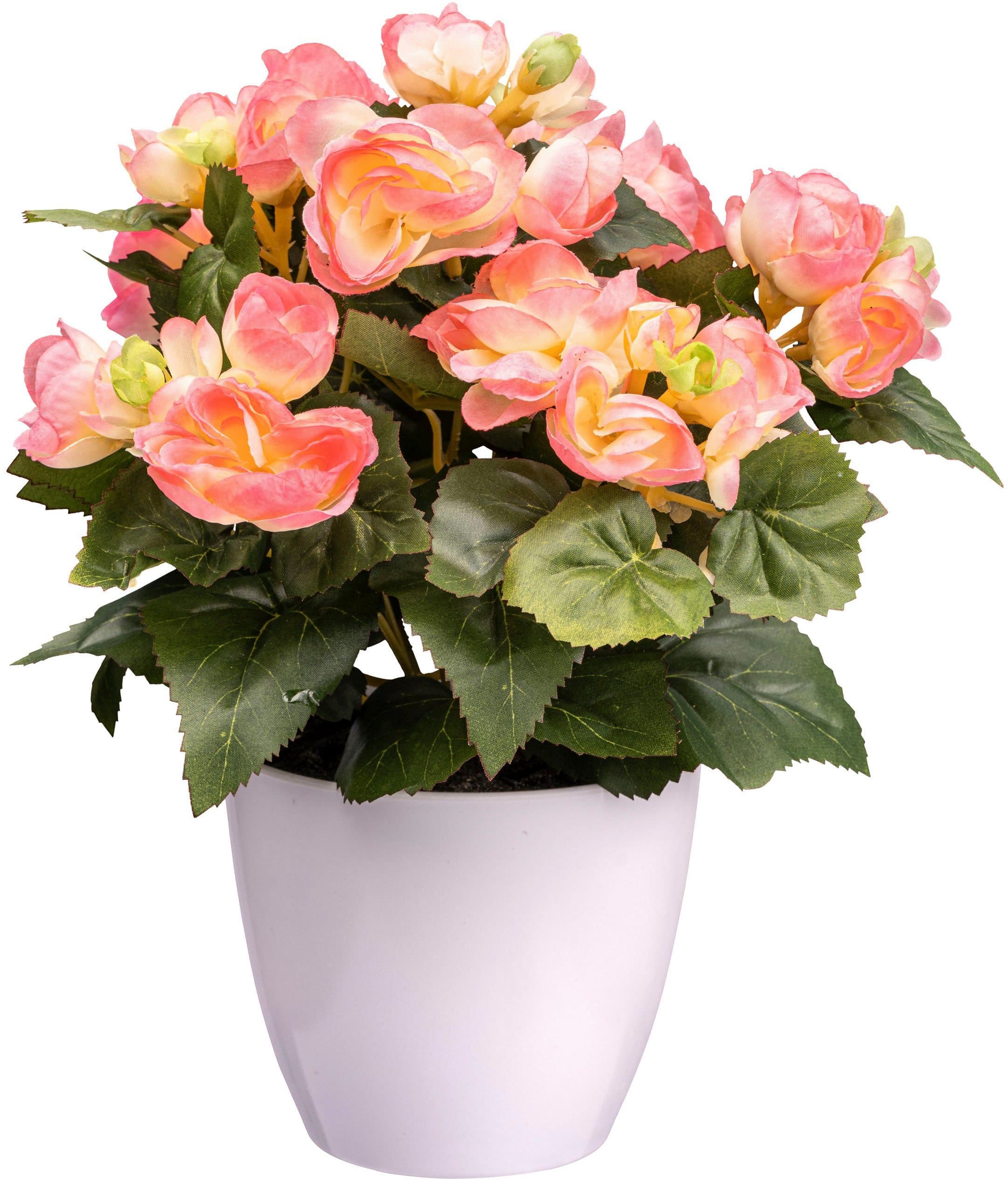 CREATIV GREEN Kunstblume Begonie Rosa mit Topf