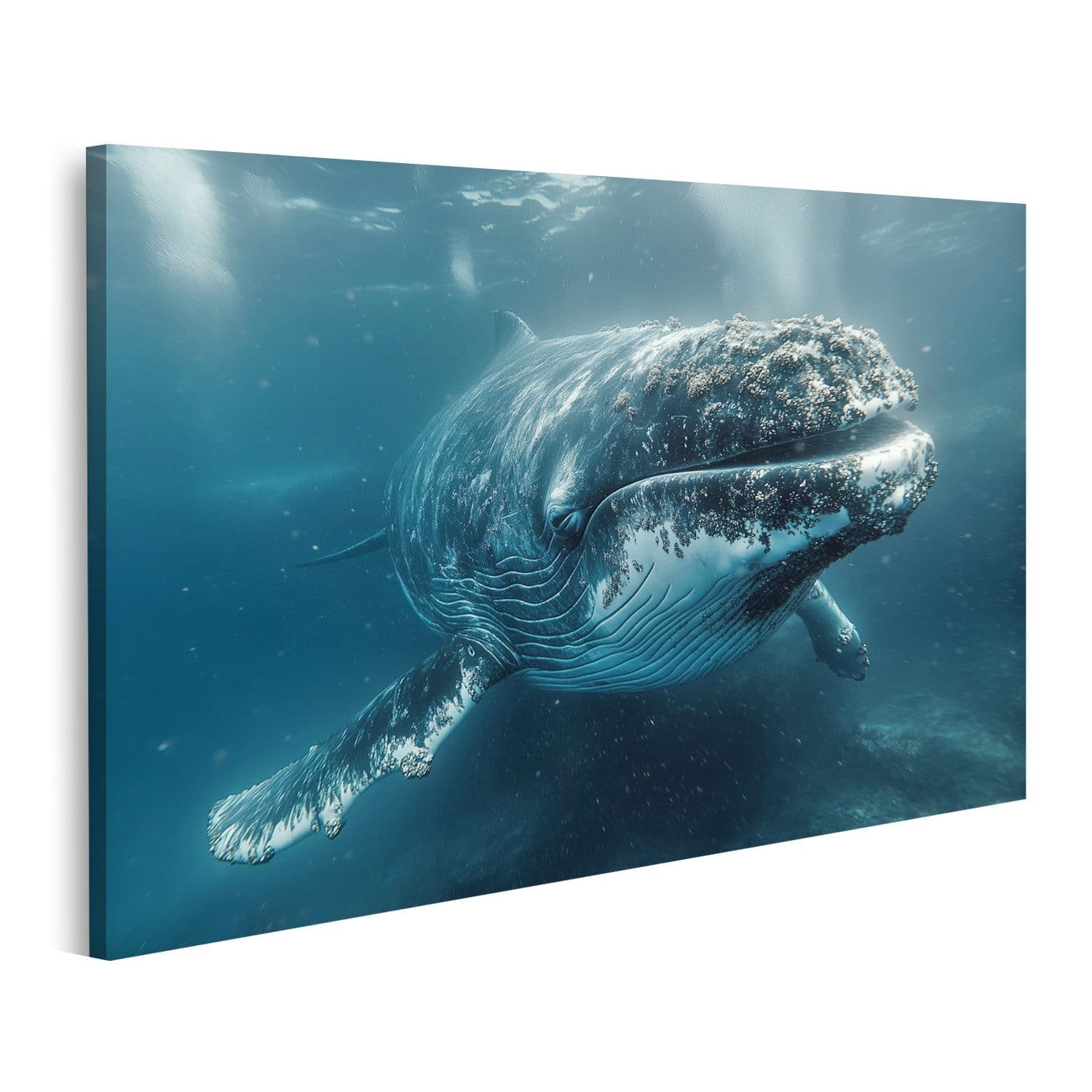 islandburner Leinwandbild Buckelwal Blau 80x40cm