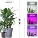 Jibenhome Pflanzenlampe LED Vollspektrum mit Zeitschaltuhr und Höhenverstellung Bild 2