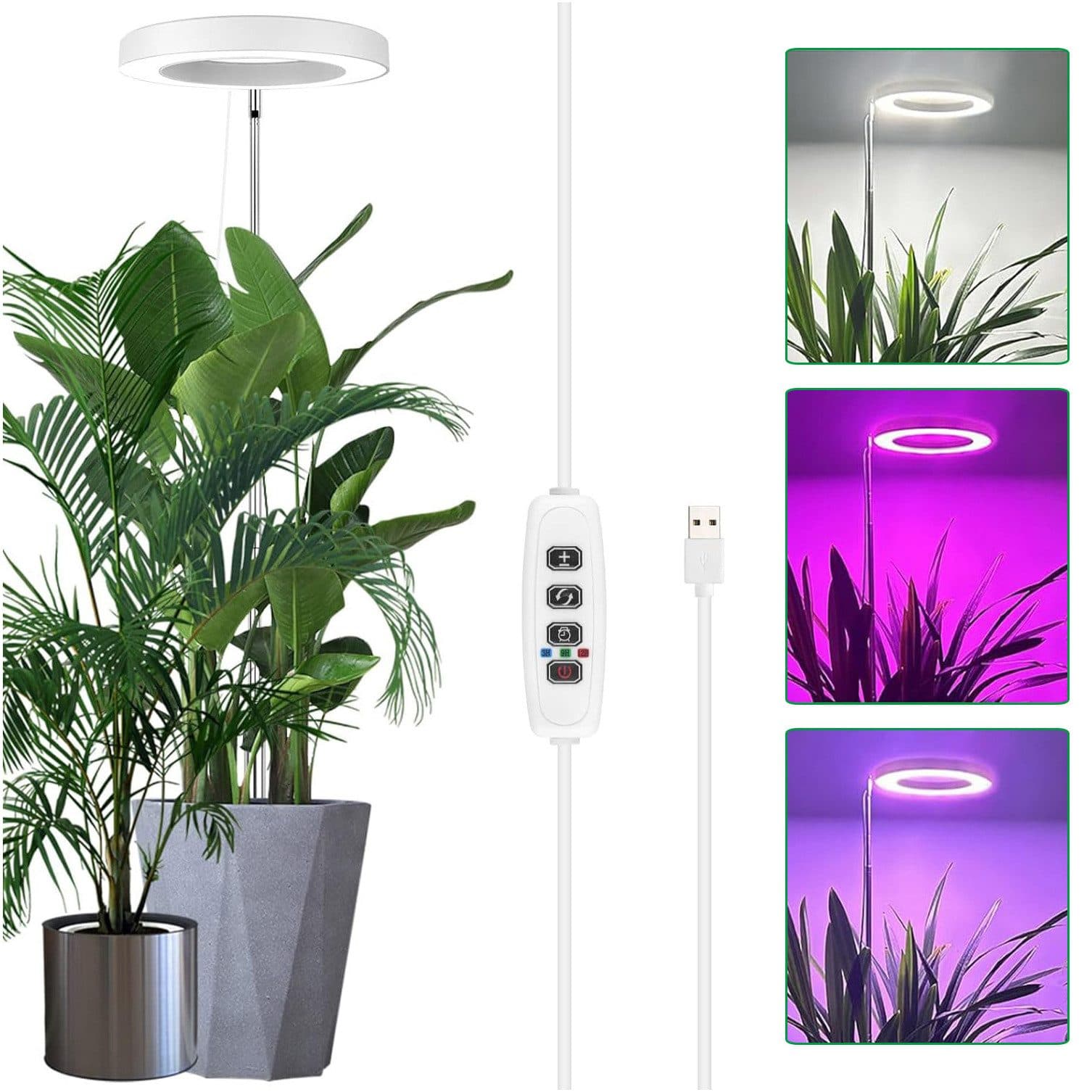 Jibenhome Pflanzenlampe LED Vollspektrum mit Zeitschaltuhr und Höhenverstellung - Bild 2