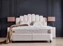 abc bedding Boxspringbett JAZZLYN Beige Samt mit Bettkasten Bild 2