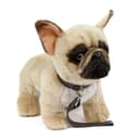 Teddys Rothenburg Kuscheltier Französische Bulldogge Beige mit Leine Bild 2