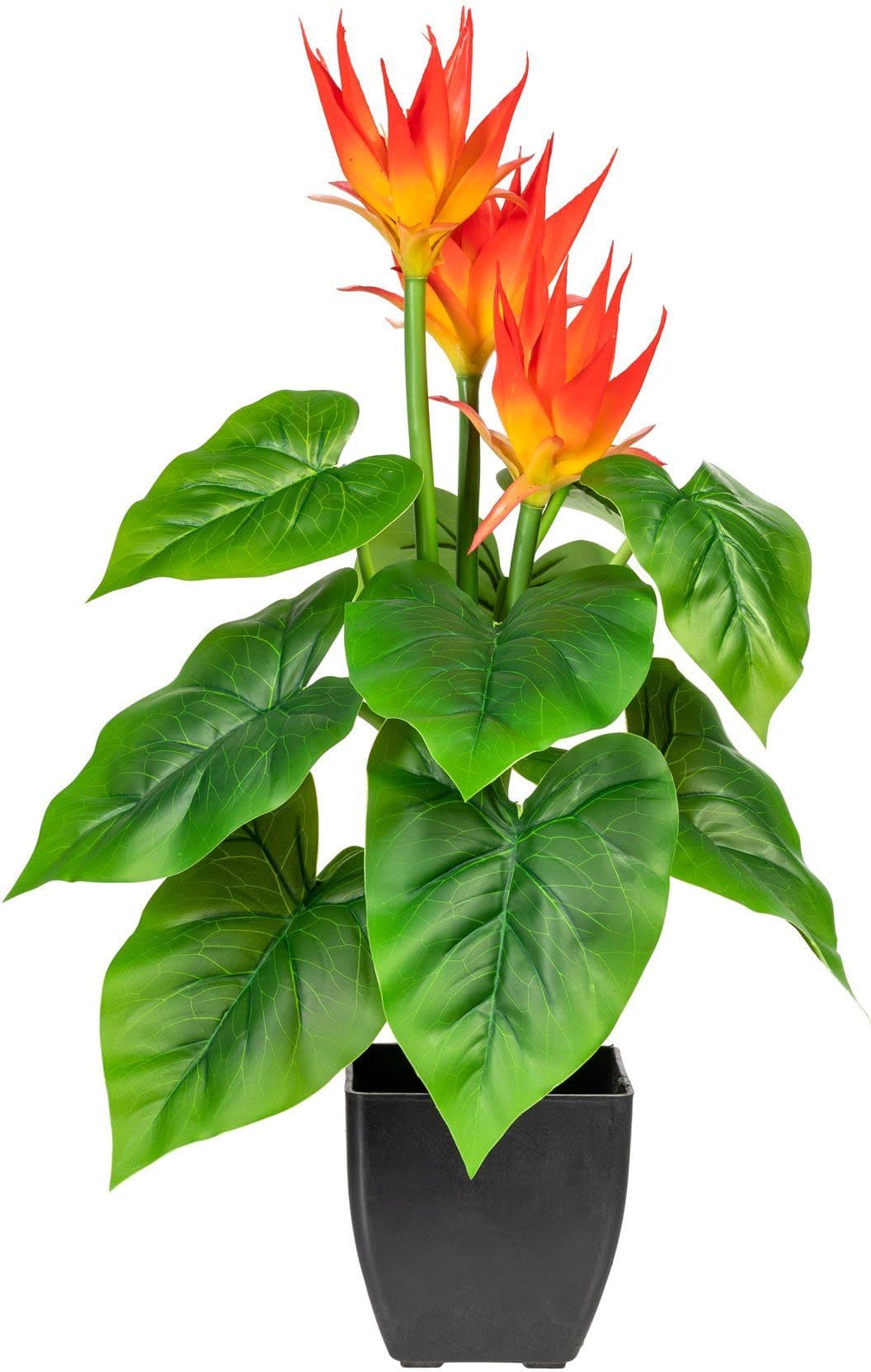 DELAVITA Kunstpflanze Warnow Guzmania im Topf