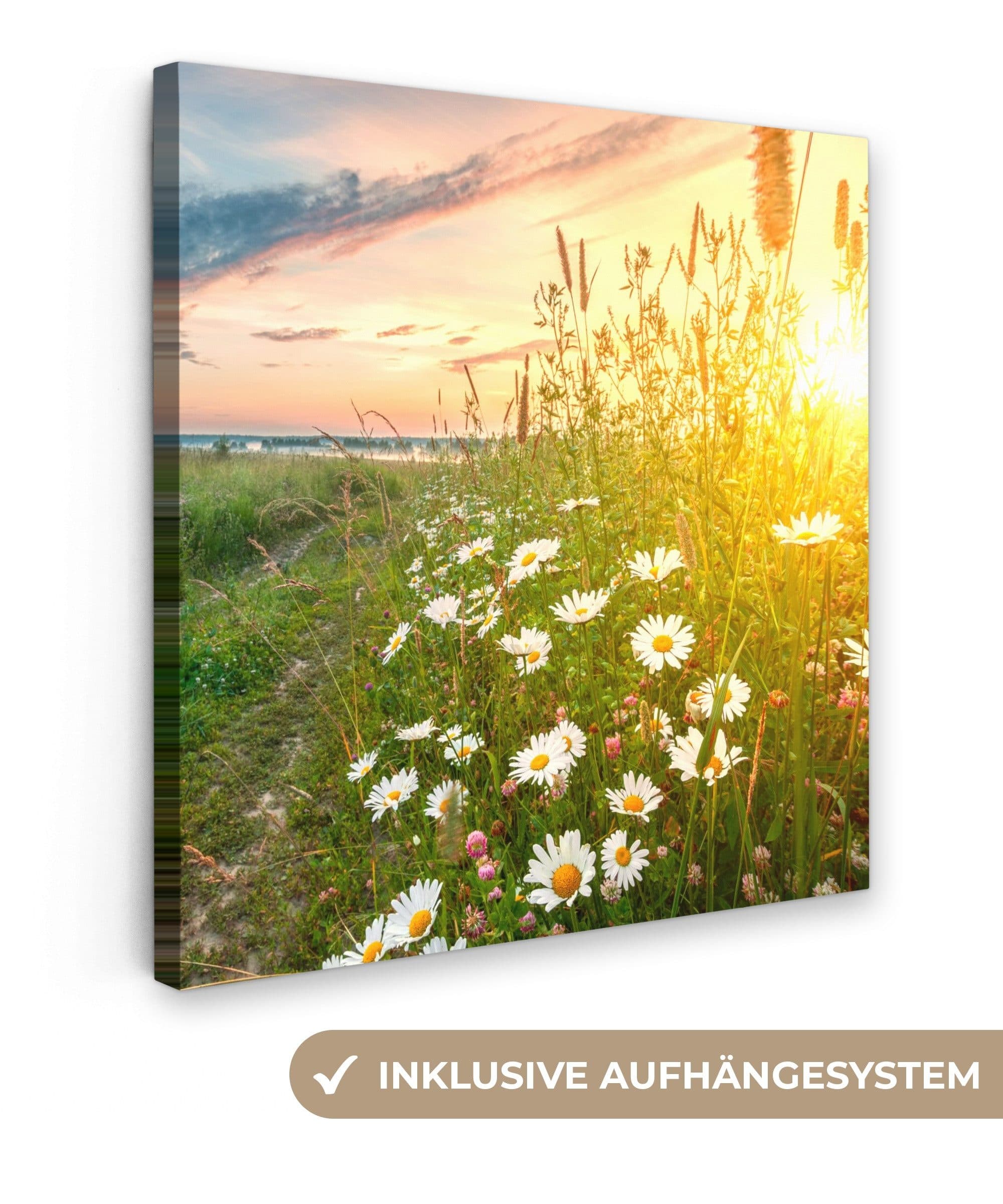 OneMillionCanvasses® Leinwandbild Gänseblümchen Natur Motiv 20x20 cm - Bild 2