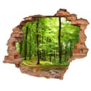 WallSpirit Wandtattoo Wanddurchbruch Wald Selbstklebend Bunt Bild 2