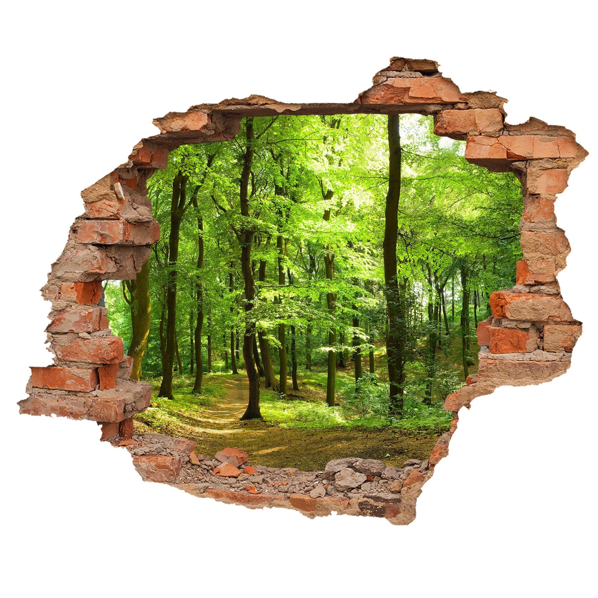 WallSpirit Wandtattoo Wanddurchbruch Wald Selbstklebend Bunt - Bild 2