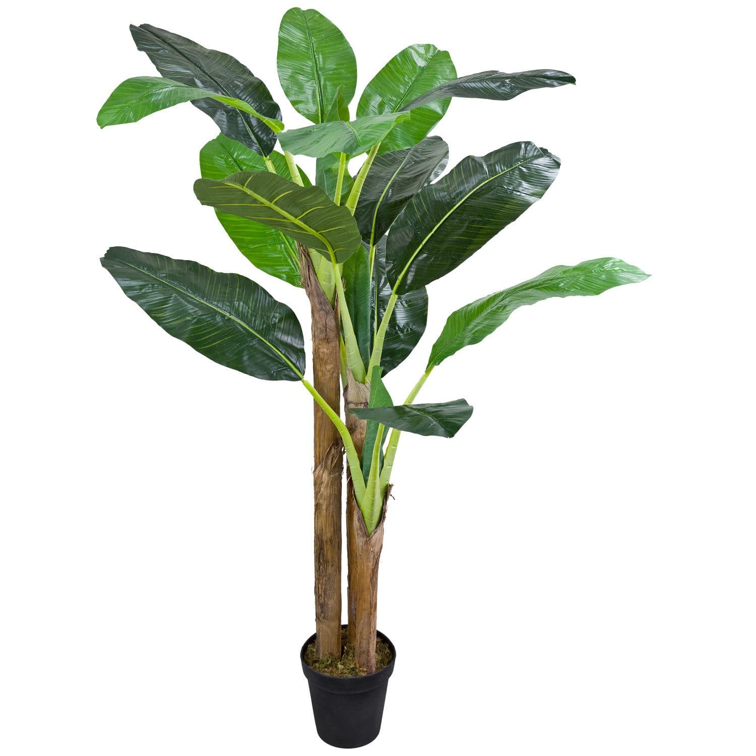 Decovego Kunstbananenbaum 190 cm Grün Echtholz - Bild 2