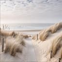 artissimo Glasbild Strand und Meer Dünenweg Beige 50x50 cm Bild 2