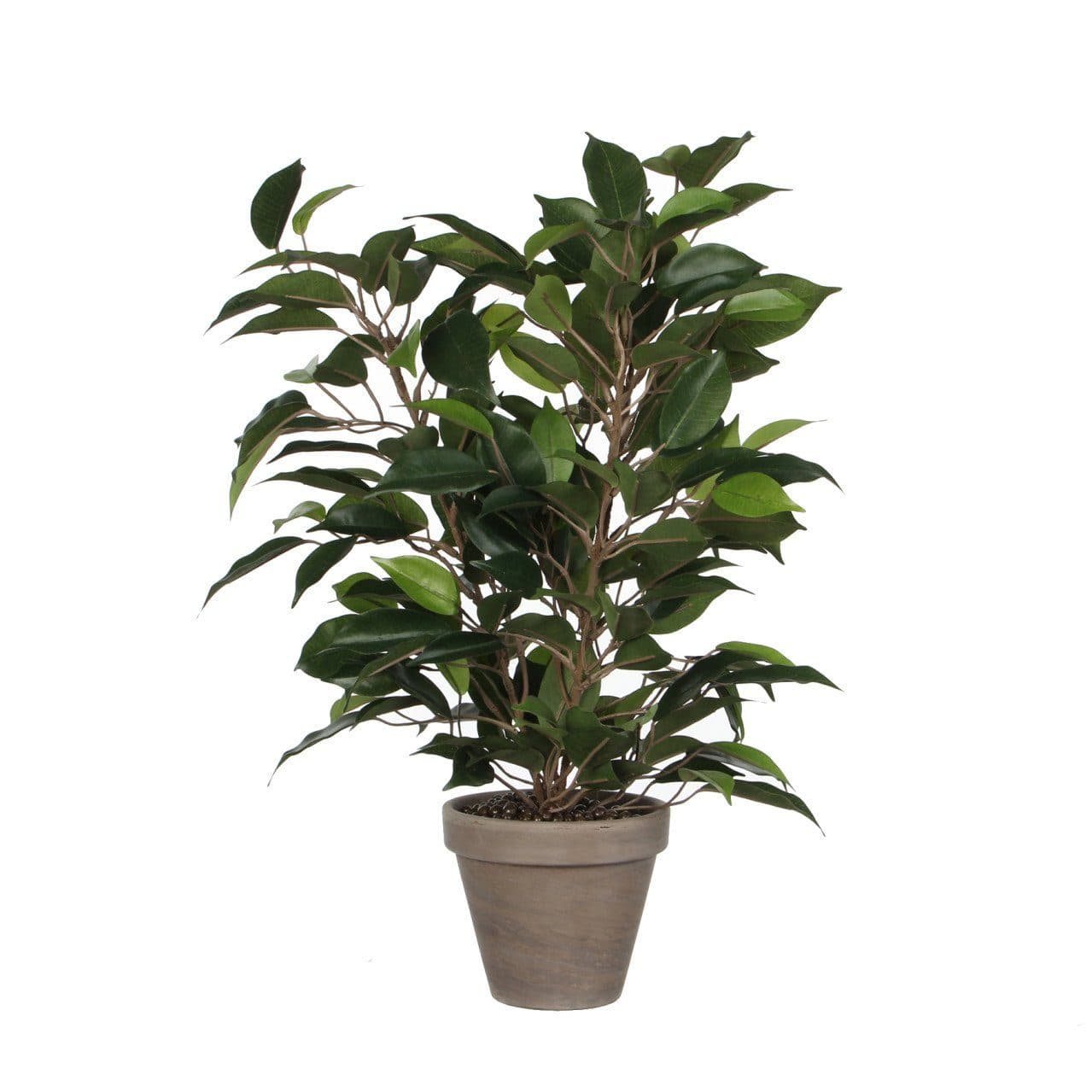 Mica Decorations Kunstpflanze Ficus Natasja Grün im Topf