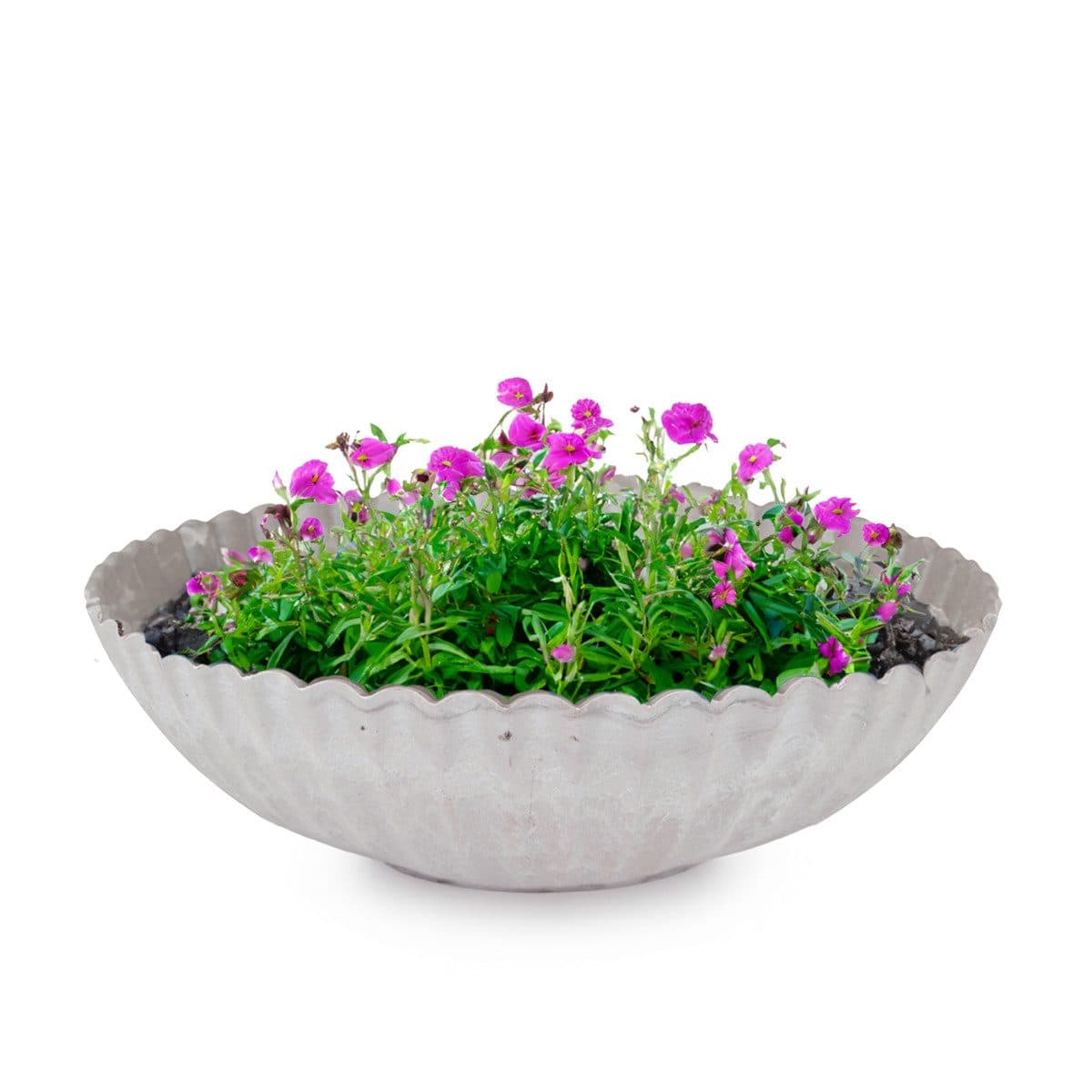matches21 HOME & HOBBY Grau Marmorierte Pflanzschale 22 cm Wetterfest - Bild 2