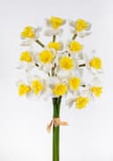 Kunstblume Narzissenbund Real Touch 50cm Seidenblumen Roß Bild 2