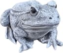 Stone and Style Gartenfigur Frosch Frostfest Grau Stein Bild 2