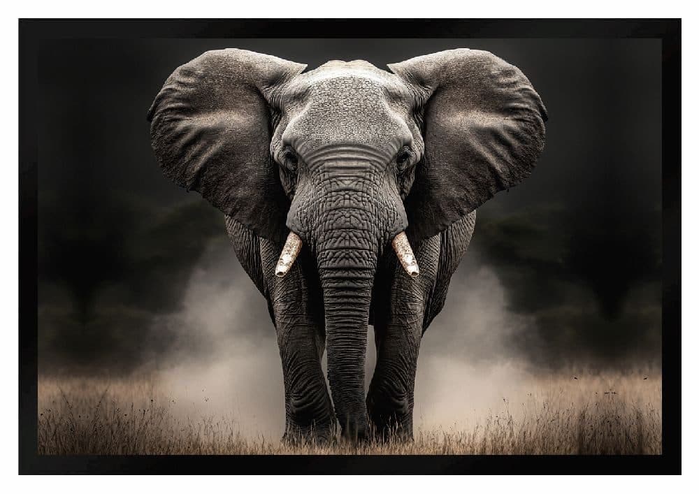 Ladreas Fußmatte Elefant 60x40 cm Bunt