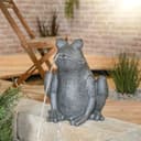 esotec Solar Wasserspeier Frosch Komplettset mit Pumpe Bild 2