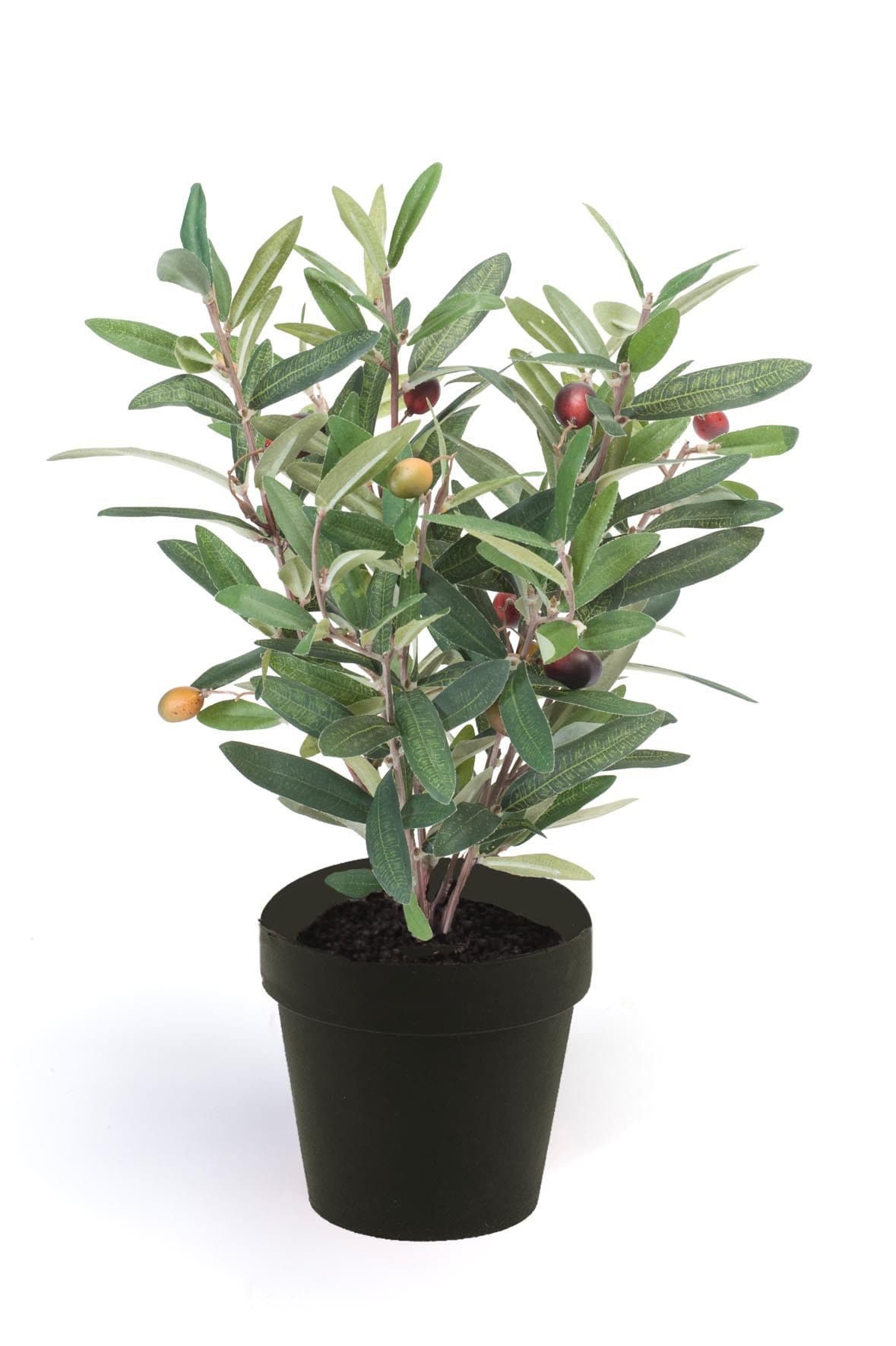 Emerald Künstliche Zimmerpflanze Olive Grün Schwarz Topf