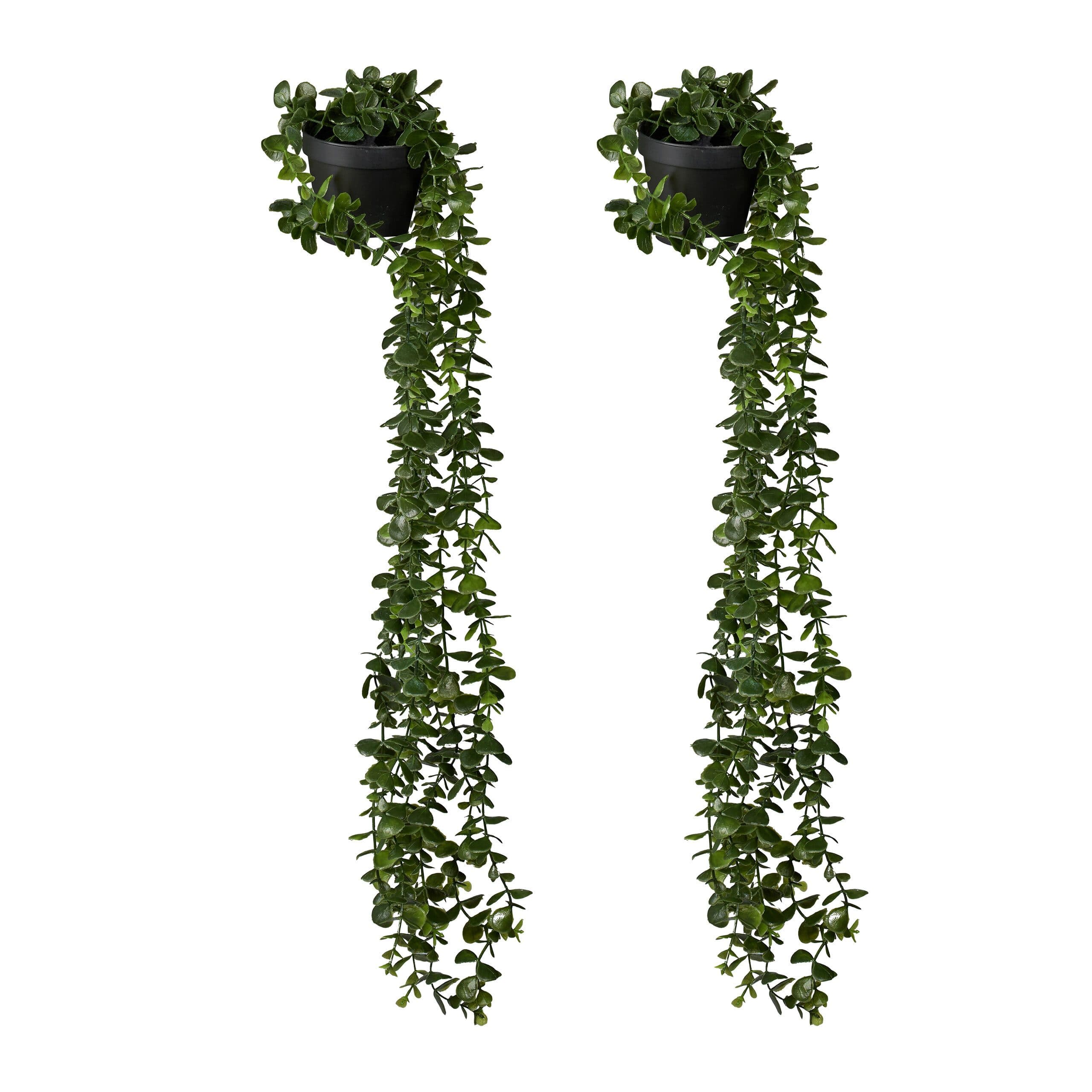 Kunstpflanze 2er Set Künstliche Hängepflanzen Eukalyptus Grün - Bild 2