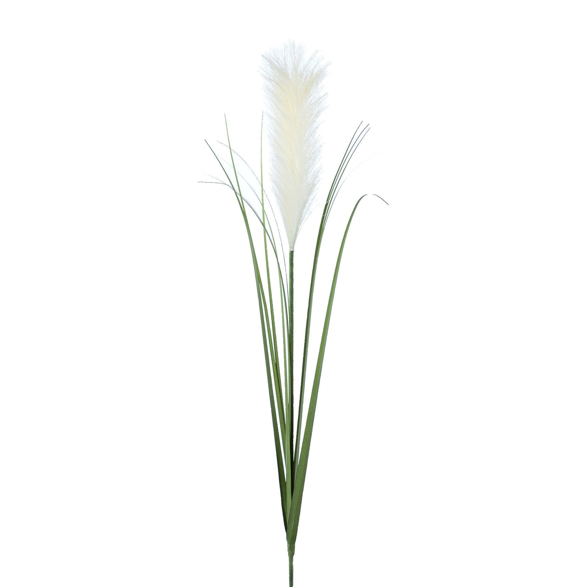 Künstliches Pampasgras 78 cm Creme Gasper