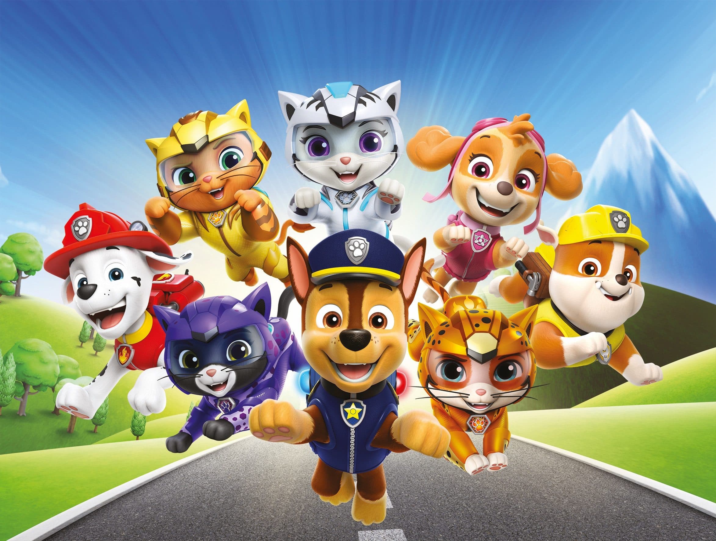 Bönninghoff Leinwandbild Paw Patrol Cartoon Hunde Katzen Kinder