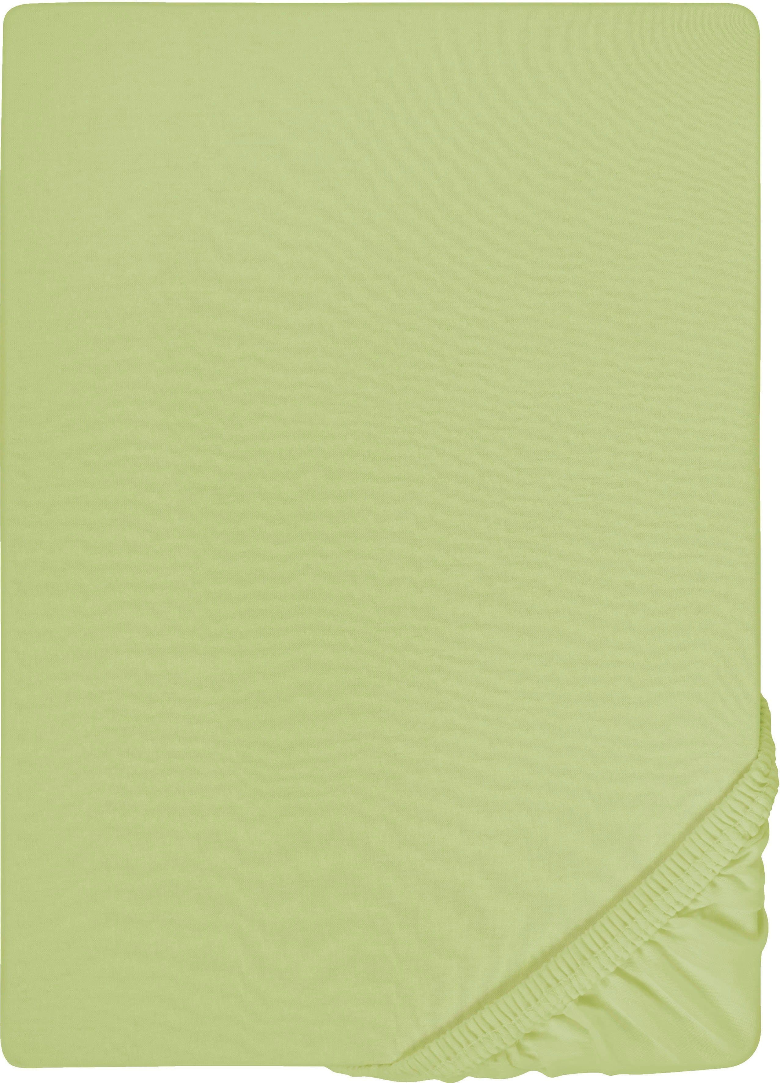 Biberna Spannbettlaken Thea Jersey-Elasthan Grün 140-160x200-220 cm - Bild 2