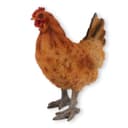 colourliving Gartendeko Huhn Figur Braun 35cm Stehend Handbemalt Bild 2
