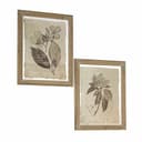 Mirabeau Wanddekoobjekt Bild 2er Set Guyra Beige/Braun Bild 2
