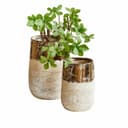 Mirabeau Übertopf Vase 2er Set Hafira Beige/Bronze Terrakotta Bild 2