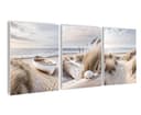 artissimo 3er-Bilderset Wandbilder Strand und Meer Nordsee Dünen Bild 2