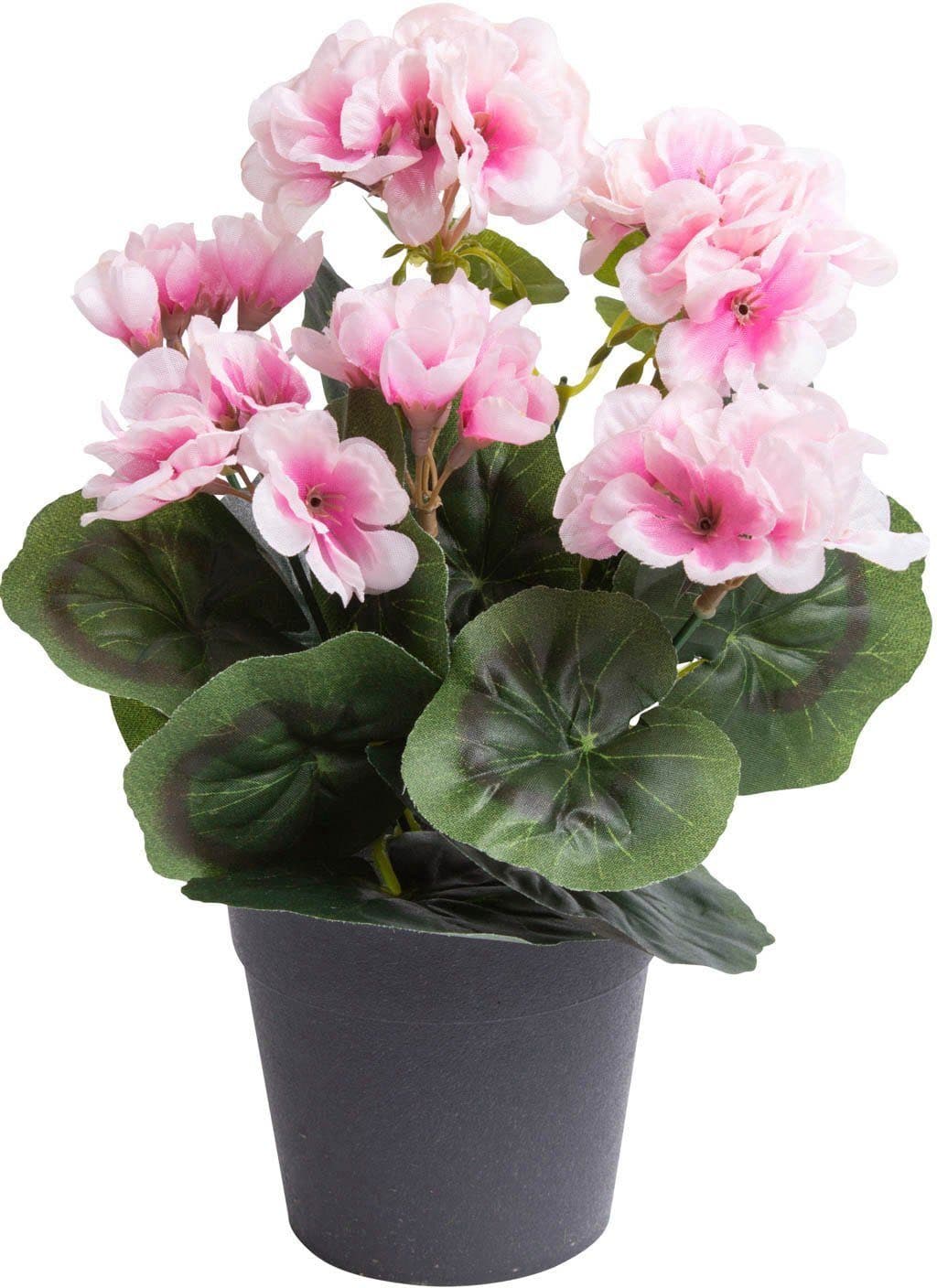 BOTANIC-HAUS Kunstblume Geranie mit 6 Stielen Beige Rosa - Bild 2