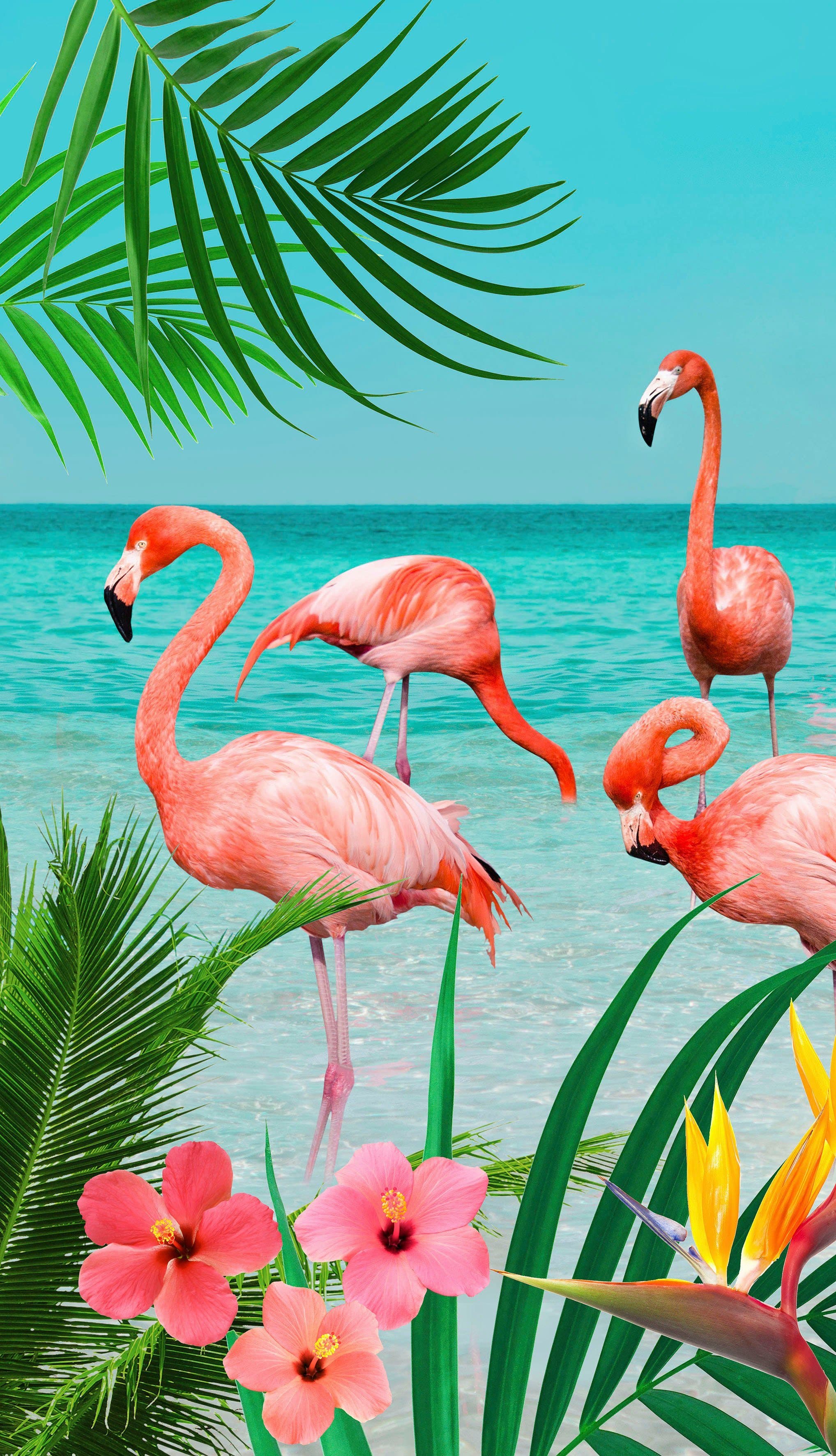 Good Morning Strandtuch Flamingo Velours-Frottier Blau-Türkis - Bild 2