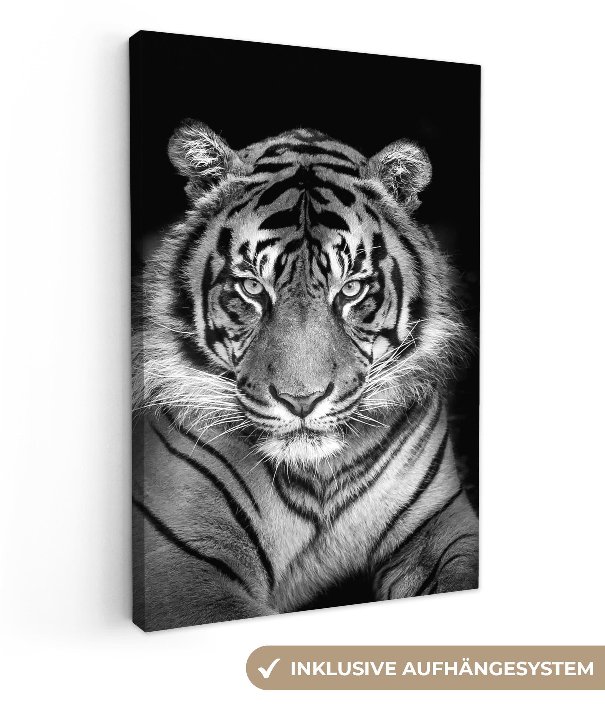 OneMillionCanvasses® Leinwandbild Tiger Schwarz Fotodruck 20x30 cm - Bild 2