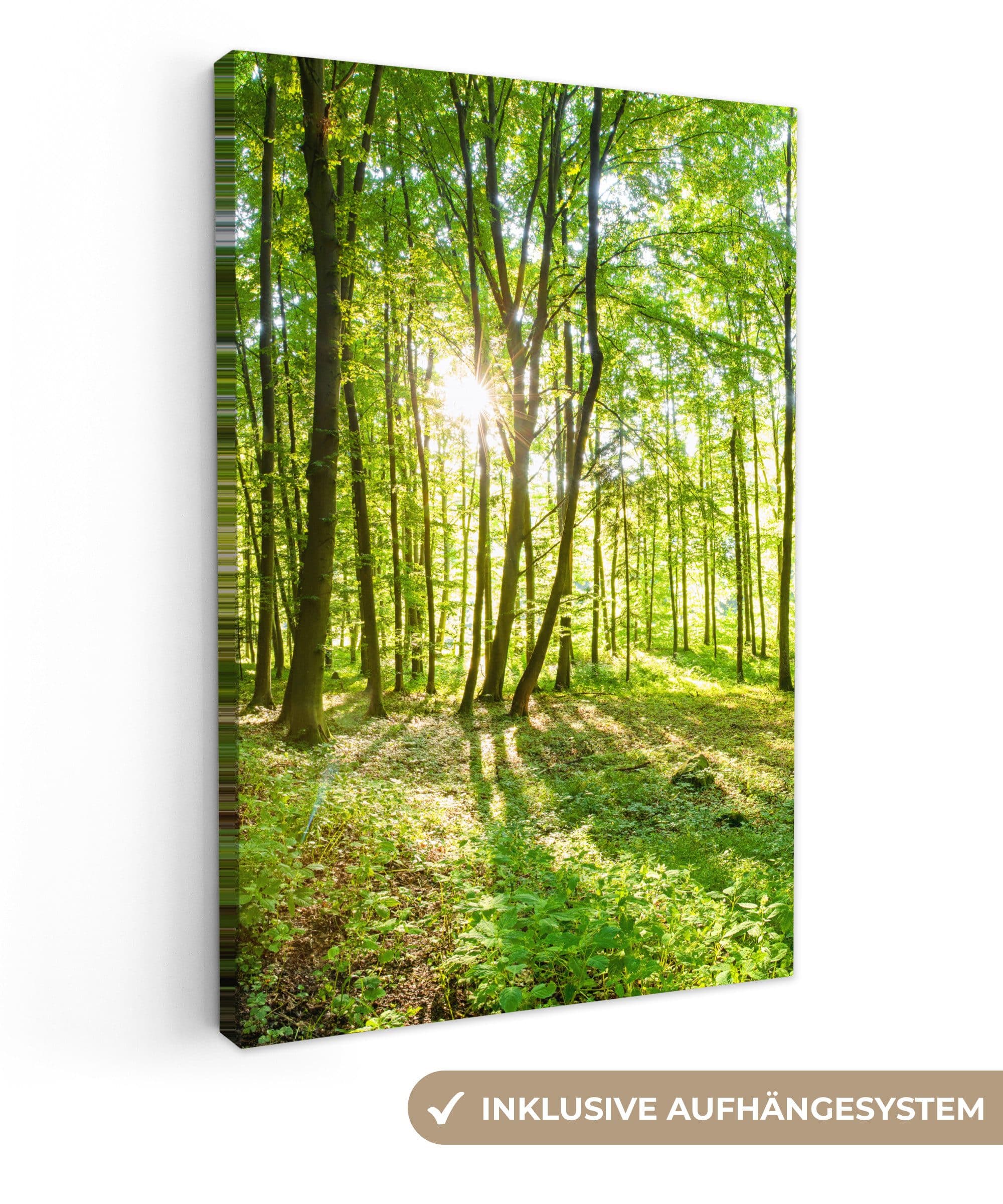 OneMillionCanvasses® Leinwandbild Natur Grün Bäume Wald - Bild 2