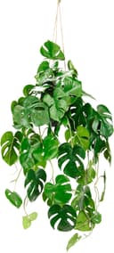 I.GE.A. Künstliche Monstera Hängende Splitphilo Hängeampel Grün Bild 2