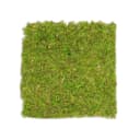 NaDeco Moosplatte Quadratisch 38x38cm Moosbild Bastelnaturmaterial Bild 2