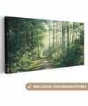 OneMillionCanvasses® Leinwandbild Panorama Wald - Weg - Sonne - Bäume - Grün - Natur Bild 2
