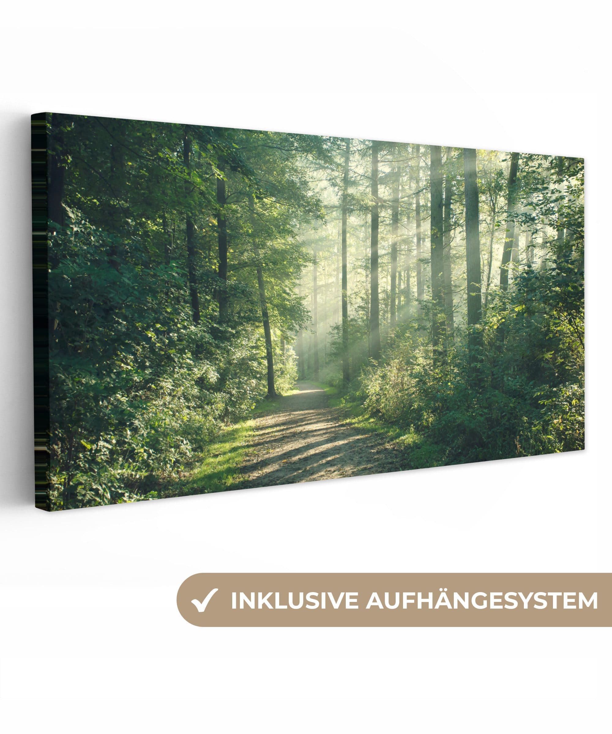 OneMillionCanvasses® Leinwandbild Panorama Wald - Weg - Sonne - Bäume - Grün - Natur - Bild 2