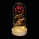 relaxdays Ewige Rose im Glas mit LED-Lichterkette Rot Bild 2