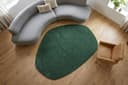 riess-ambiente Designteppich ORGANIC Grün Organische Form Hochflor Bild 2