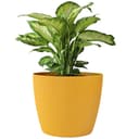 KONZEPT Blumentopf 5,2 l Gelb Gerillte Struktur Bild 2